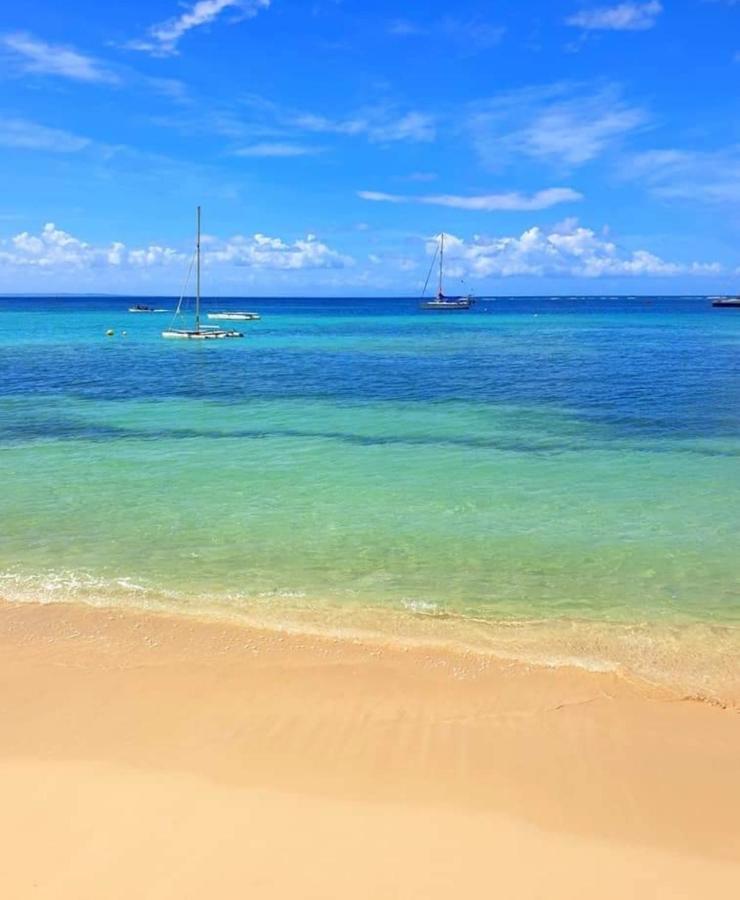 Gite 4 Etoiles, La Vieille Sucrerie St Claude Guadeloupe, Jacuzzi Spa Privatif, Vue Exceptionnelle Sur La Mer Des Caraibes Бас-Тер Экстерьер фото