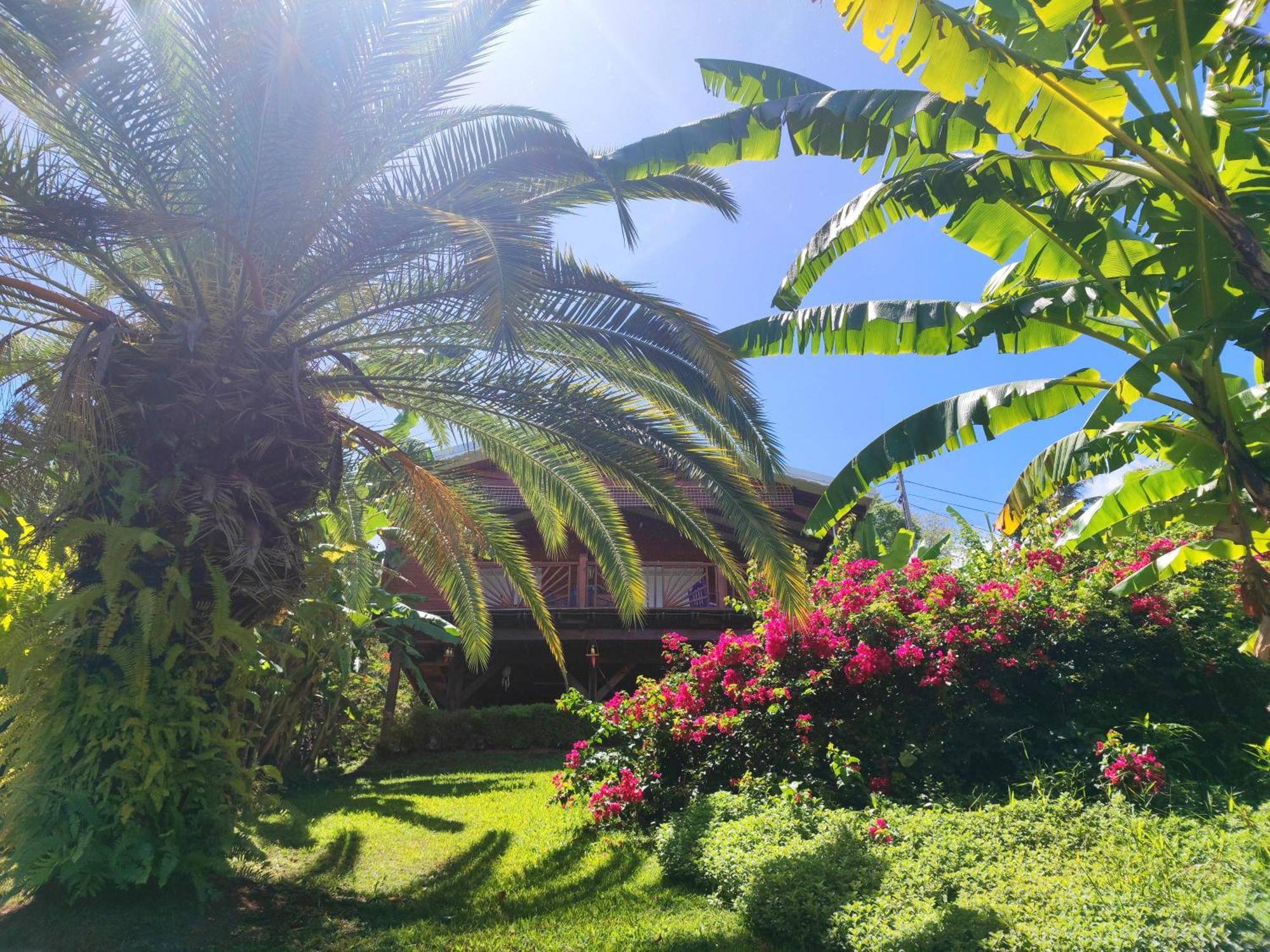 Gite 4 Etoiles, La Vieille Sucrerie St Claude Guadeloupe, Jacuzzi Spa Privatif, Vue Exceptionnelle Sur La Mer Des Caraibes Бас-Тер Экстерьер фото