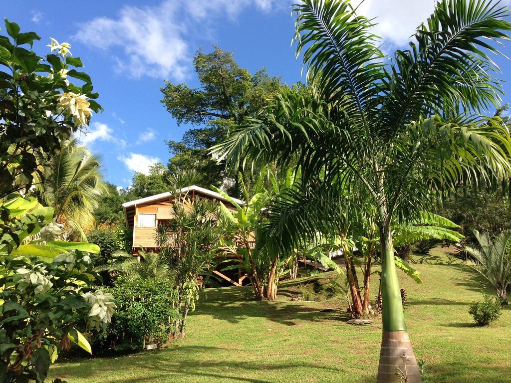 Gite 4 Etoiles, La Vieille Sucrerie St Claude Guadeloupe, Jacuzzi Spa Privatif, Vue Exceptionnelle Sur La Mer Des Caraibes Бас-Тер Экстерьер фото